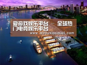 案例展示八
