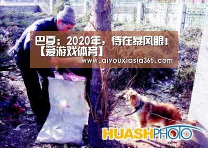 爱游戏登录